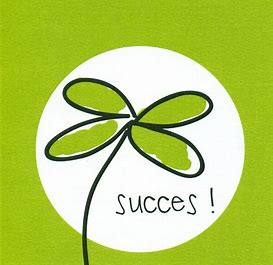 hsp test plaatje.png