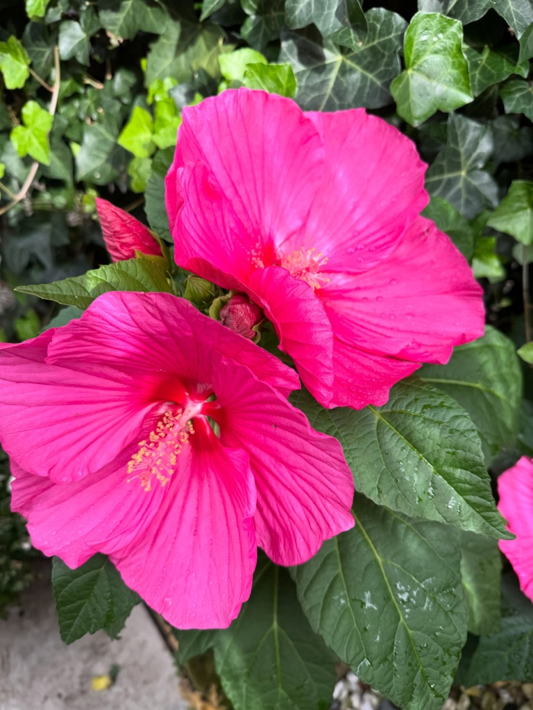 workshop liefde, licht en verbinding.jpg